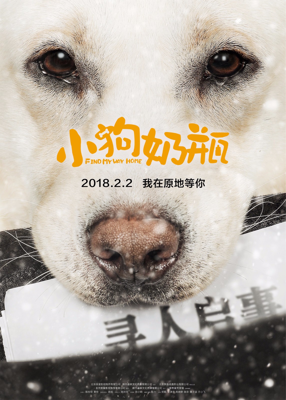 《小狗奶瓶》尋人啟事版海報.jpg