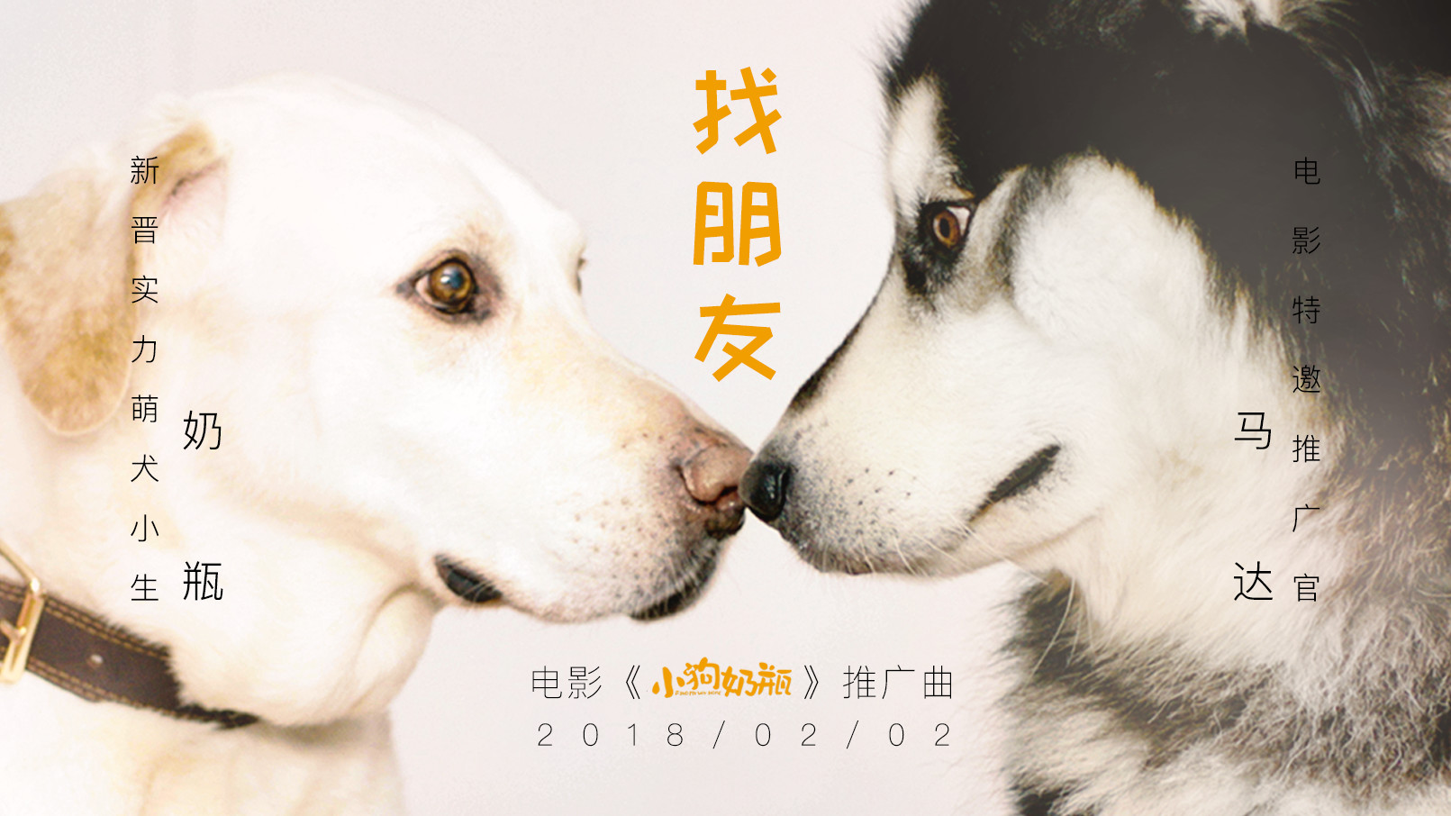 網(wǎng)站焦點圖.jpg